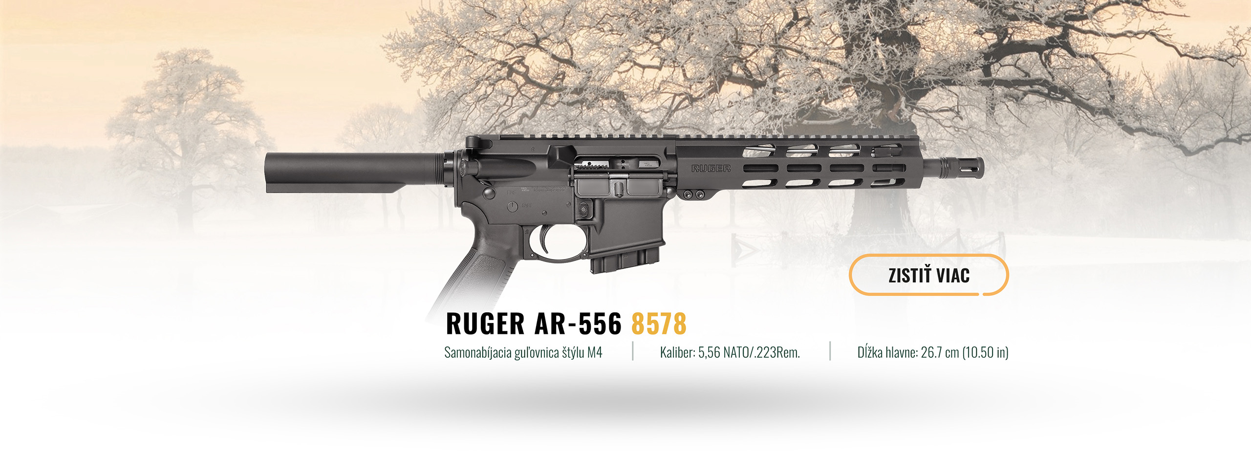 Ruger AR-556 8578